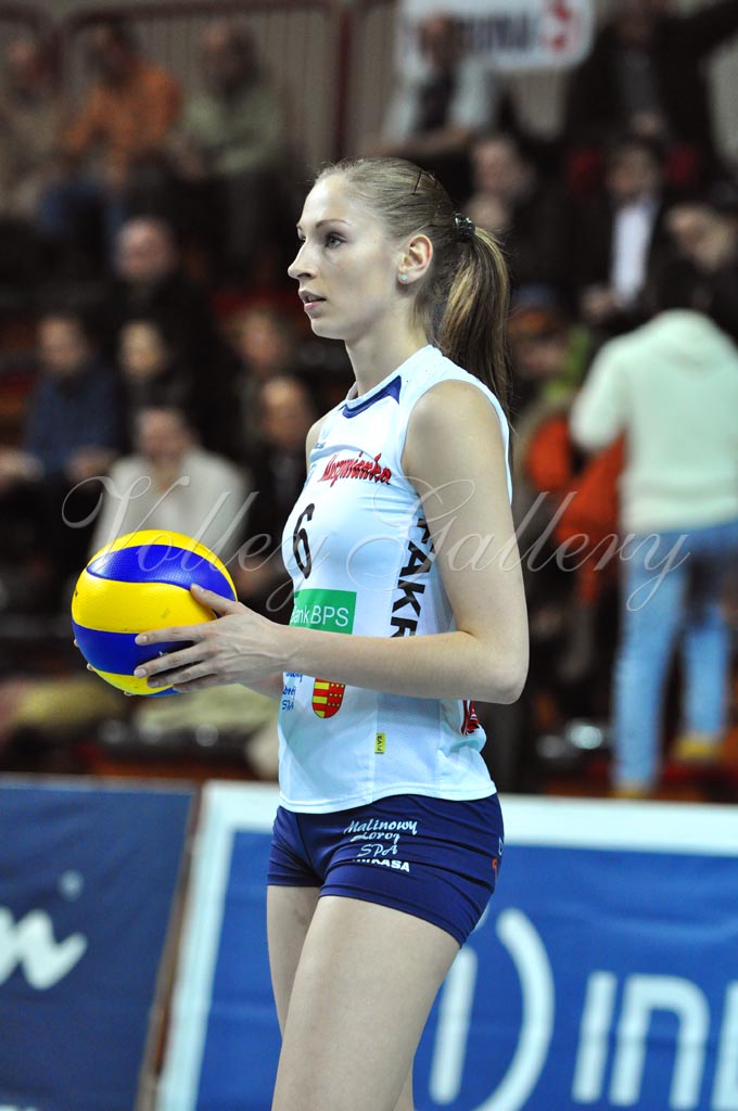 Asystel NO Muszynianka (29)